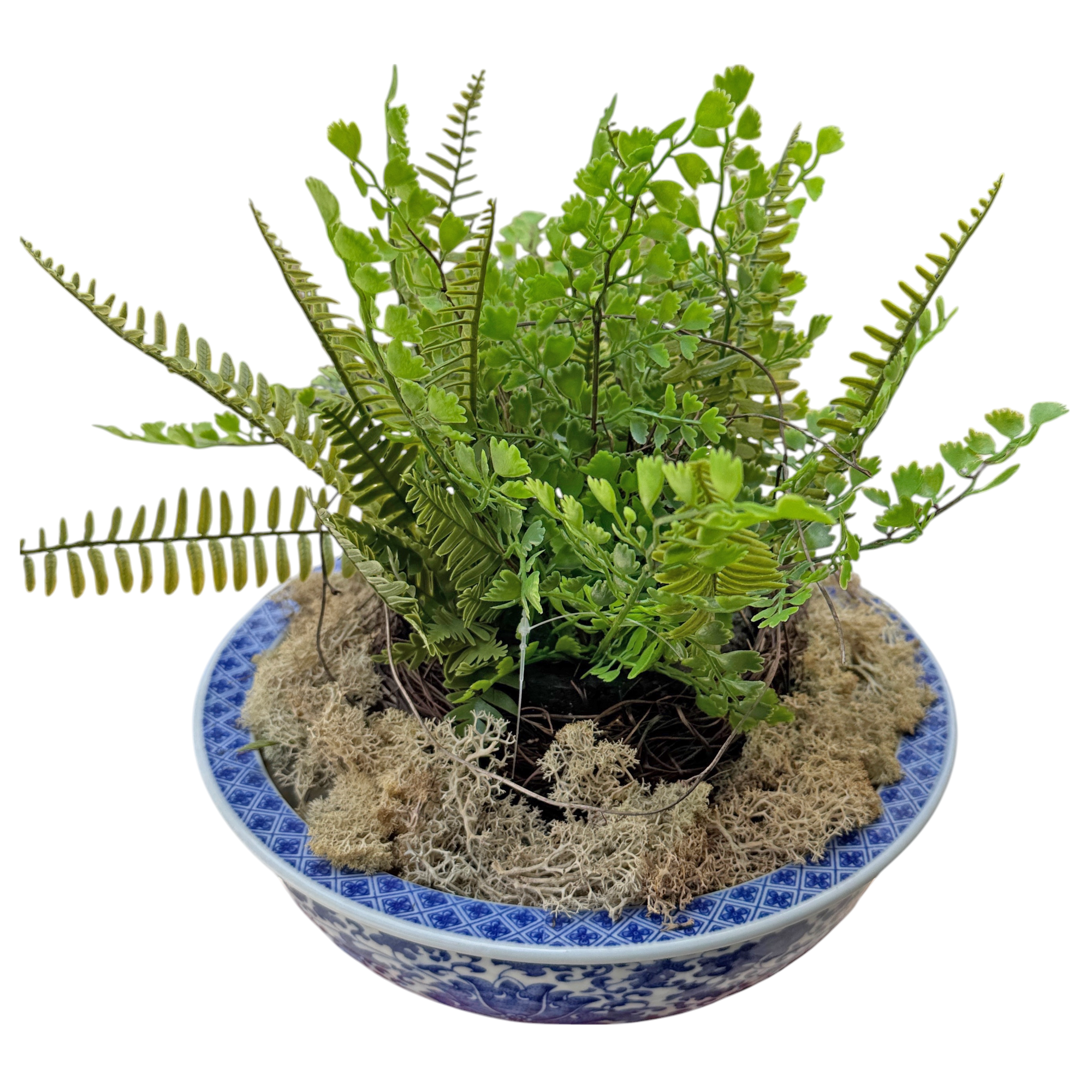 Classic Porcelain - Blue and White Round Bowl Arrangement