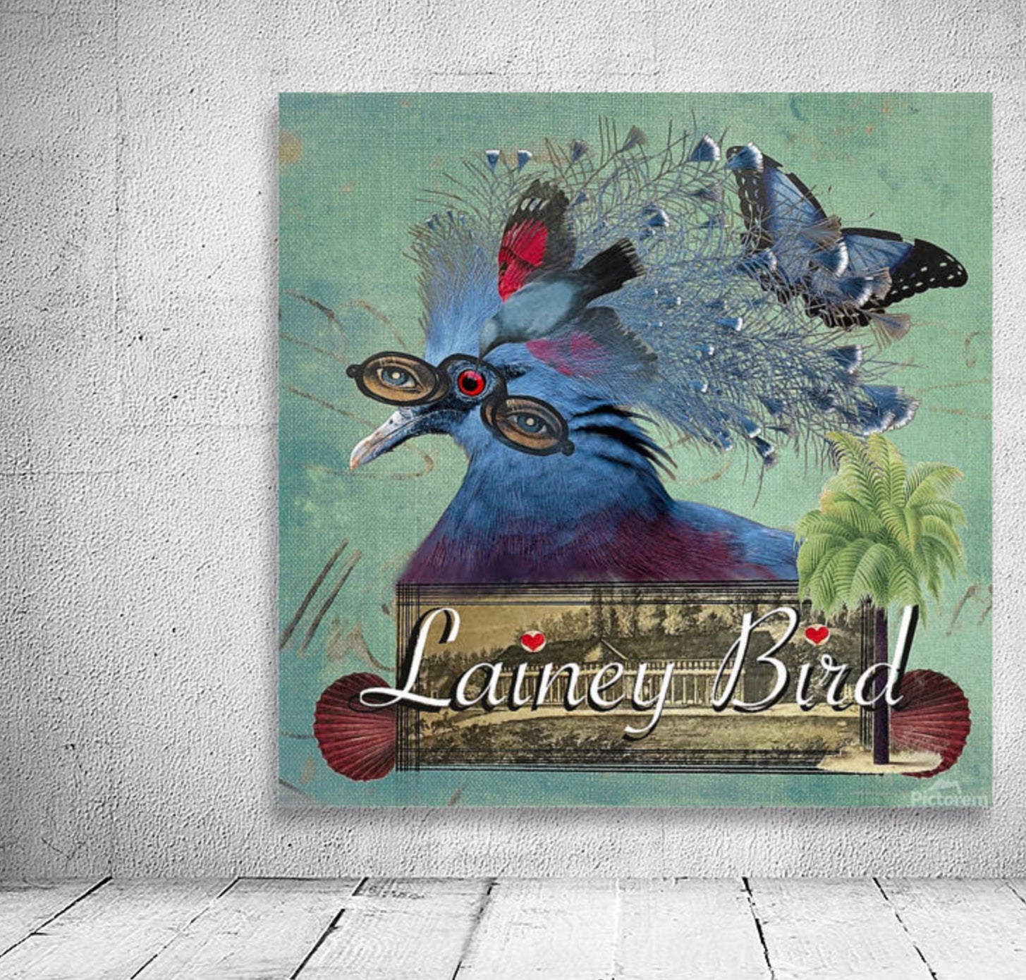 Lainey Bird