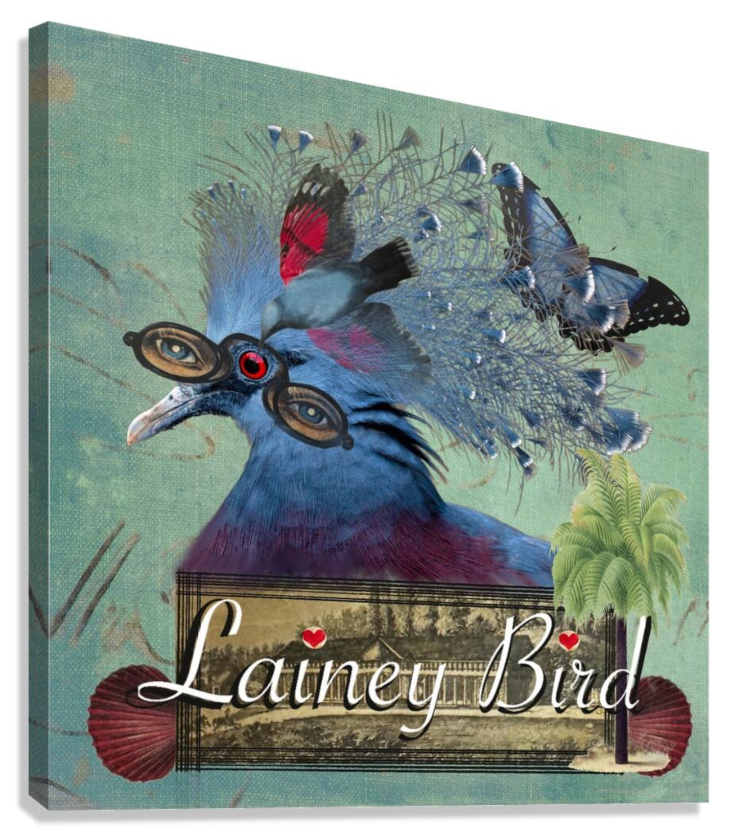 Lainey Bird