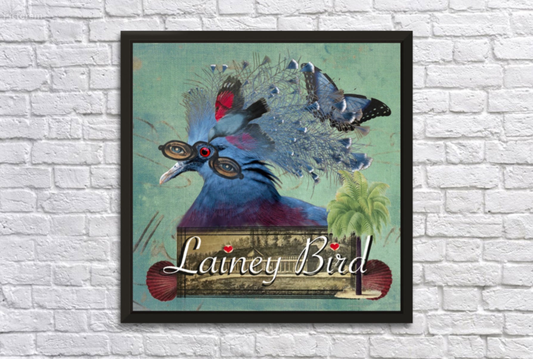 Lainey Bird