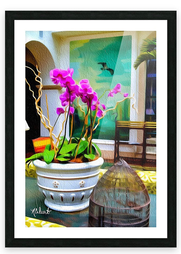 Sea Island Solarium 2012
