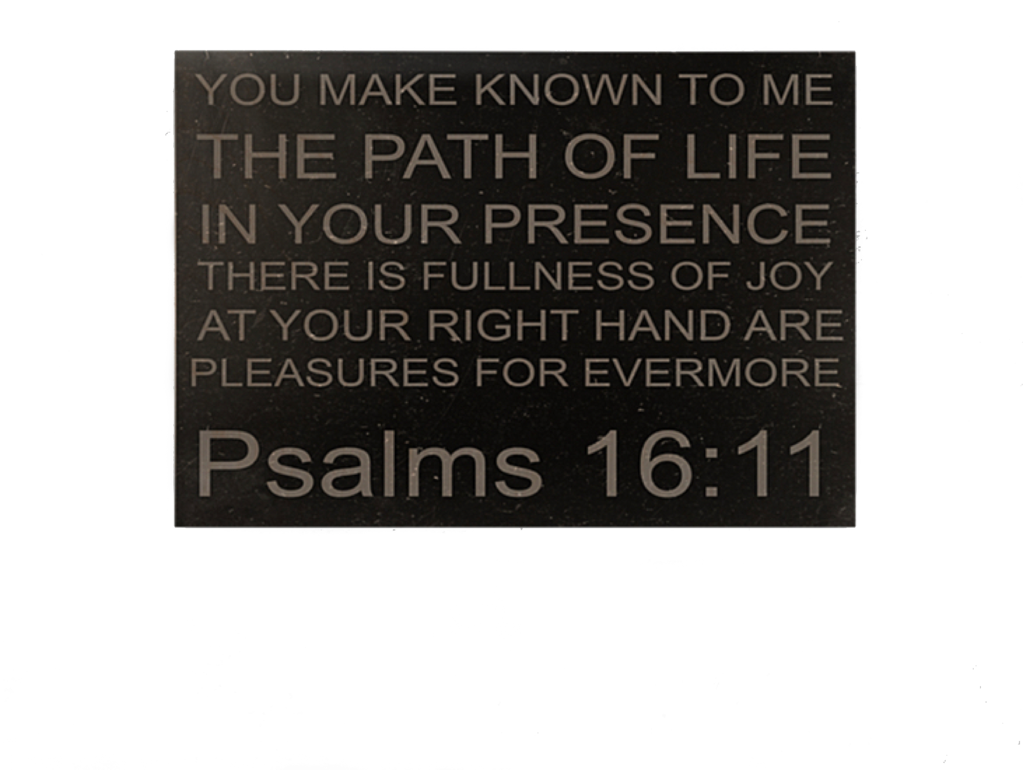God’s Word: Psalms 16:11